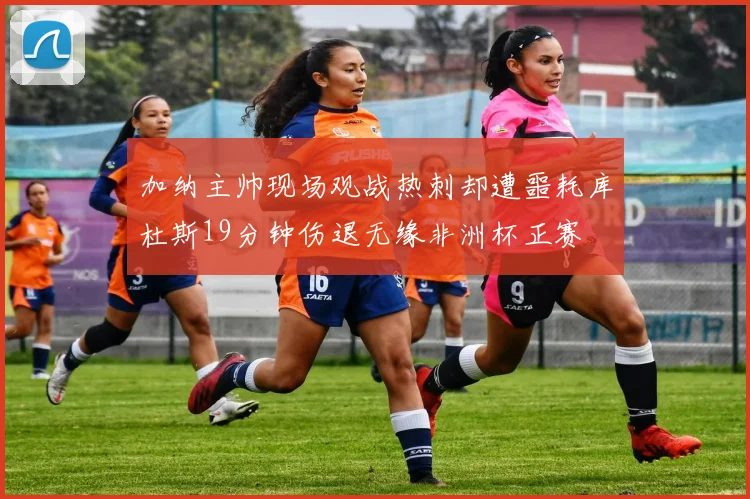 加纳主帅现场观战热刺却遭噩耗库杜斯19分钟伤退无缘非洲杯正赛