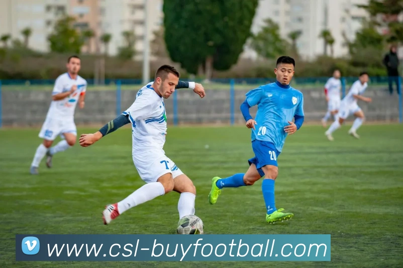 中超买球官网平台生态图