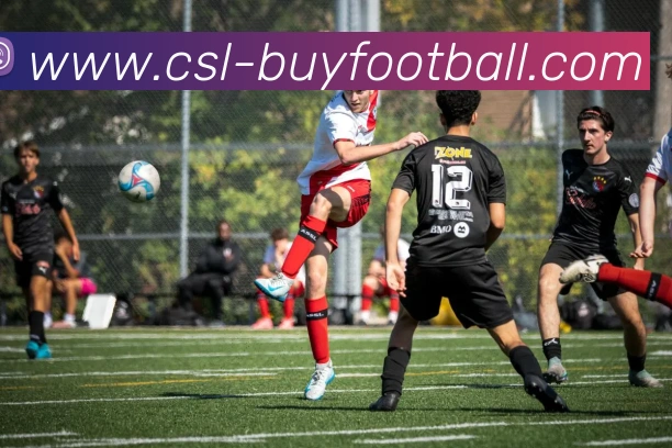 中超买球官网全站App