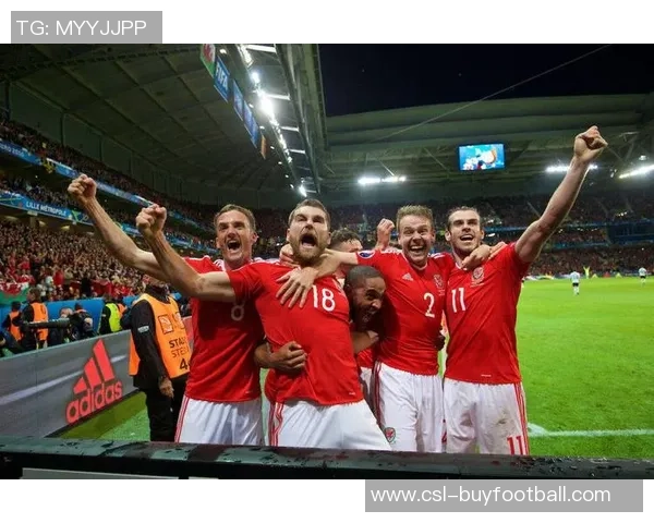 威尔士国家队迎来百场里程碑32岁后卫本戴维斯对阵比利时